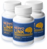 nervous system nervolink